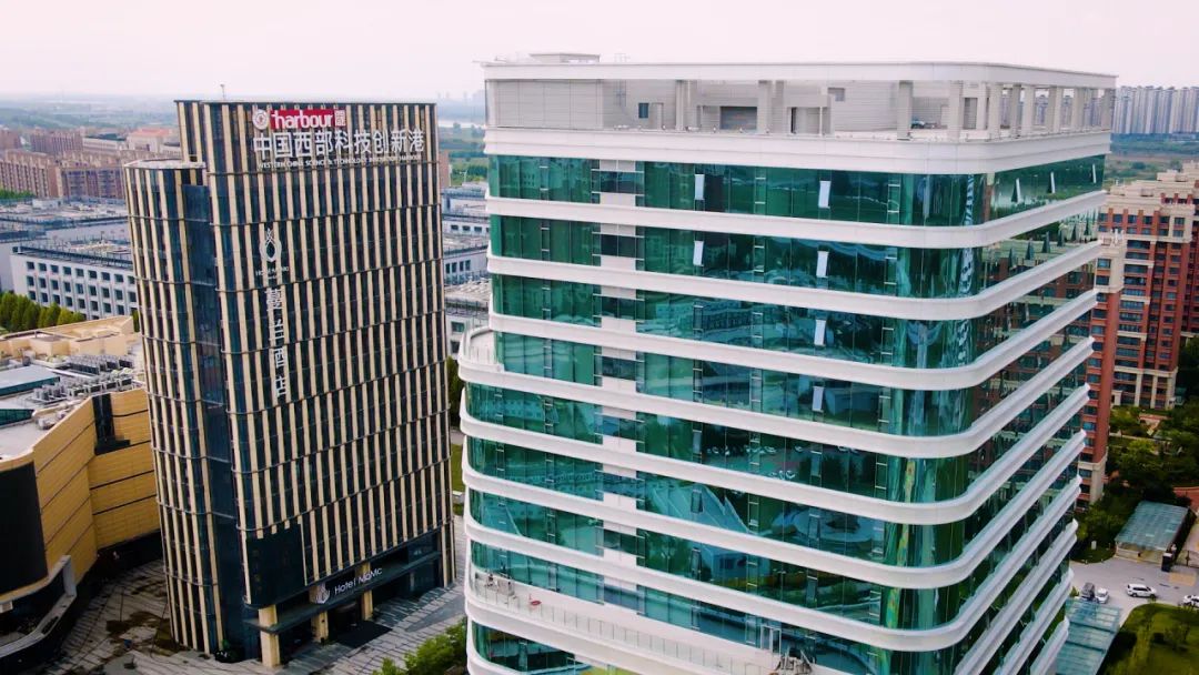 1699349519607688.jpg 10.jpg