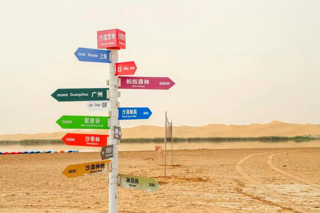 1720754199216497.jpg 8.jpg